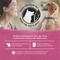 Show in main carousel: Purina Beyond Farm-Raised Beef & Spinach in Gravy Recipe Canned Dog Food, 12.5-oz, case of 12 slide 7 of 12