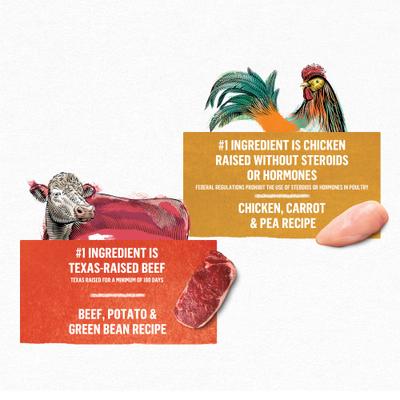 Purina Beyond Grain-Free Chicken & Beef Variety Pack Canned Dog Food