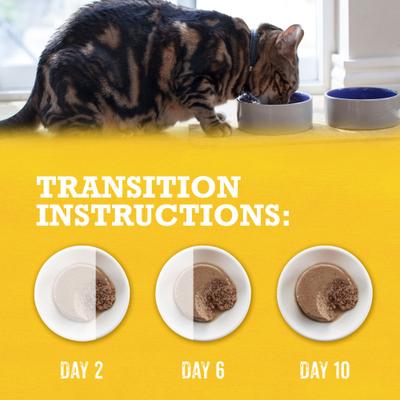 Show full view: Purina Beyond Grain-Free Natural Pate Chicken & Sweet Potato Recipe Wet Cat Food, 3-oz can, case of 12 slide 9 of 12