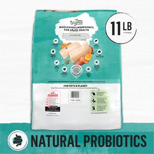 Purina Beyond Grain-Free Natural Simply Wild Caught Whitefish & Cage Free Egg Recipe Dry Cat Food, 11-lb bag