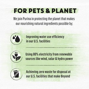 Purina Beyond Grain-Free Natural Simply Wild Caught Whitefish & Cage Free Egg Recipe Dry Cat Food, 11-lb bag