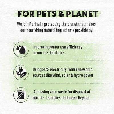 Show full view: Purina Beyond Grain-Free Natural Simply Wild Caught Whitefish & Cage Free Egg Recipe Dry Cat Food, 5-lb bag slide 8 of 11