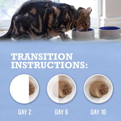 Show full view: Purina Beyond Grain-Free Trout & Catfish Pate Recipe Canned Cat Food, 3-oz, case of 12 slide 9 of 11