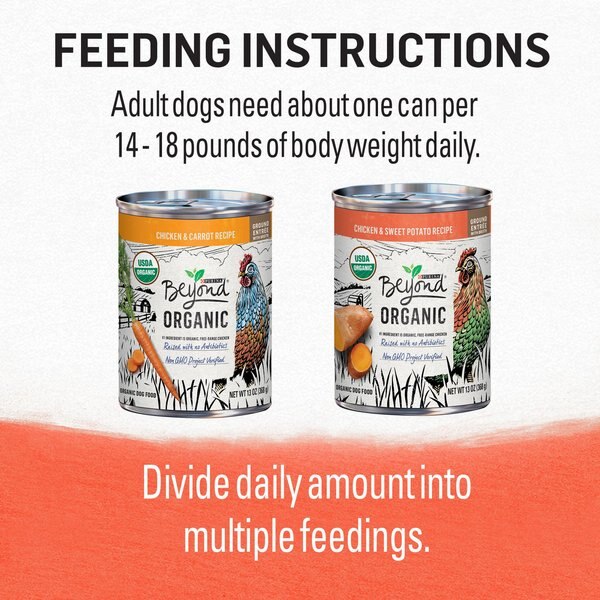 Purina Beyond Organic Chicken Recipes Variety Pack High Protein Wet Dog Food, 13-oz can, case of 12