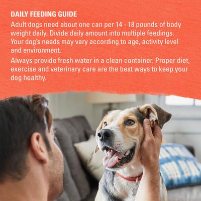 Show full view: Purina Beyond Organic Chicken & Sweet Potato Recipe Wet Dog Food, 13-oz can, case of 12 slide 9 of 11