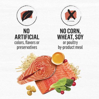 Show full view: Purina Beyond Simply Salmon & Whole Brown Rice Recipe Dry Cat Food, 3-lb bag slide 9 of 11