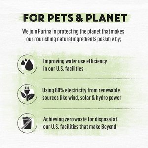 Purina Beyond Simply Salmon & Whole Brown Rice Recipe Dry Cat Food, 6-lb bag