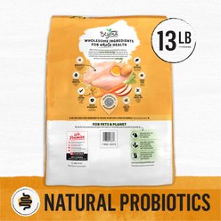 Purina Beyond Simply White Meat Chicken & Whole Oat Meal Recipe Dry Cat Food, 13-lb bag slide 2 of 8