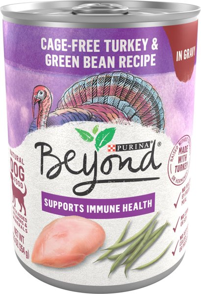 Show full view: Purina Beyond Turkey & Green Bean Recipe in Gravy Canned Dog Food, 12.5-oz, case of 12 slide 1 of 11