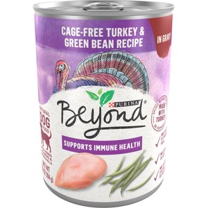 Purina Beyond Turkey & Green Bean Recipe in Gravy Canned Dog Food, 12.5-oz, case of 12