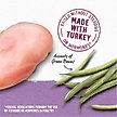 Show in main carousel: Purina Beyond Turkey & Green Bean Recipe in Gravy Canned Dog Food, 12.5-oz, case of 12 slide 4 of 11