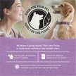 Show in main carousel: Purina Beyond Turkey & Green Bean Recipe in Gravy Canned Dog Food, 12.5-oz, case of 12 slide 6 of 11