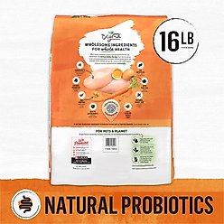 Purina Beyond White Meat Chicken & Egg Recipe Grain-Free Natural Dry Cat Food, 16-lb bag slide 2 of 8