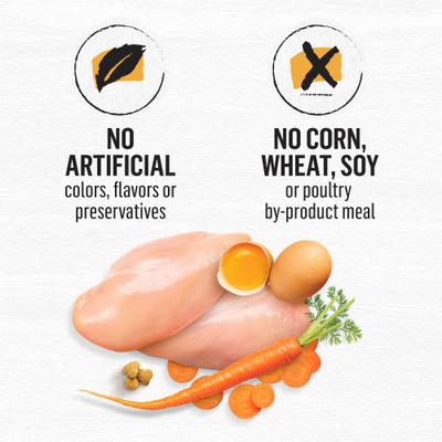 Show full view: Purina Beyond White Meat Chicken & Egg Recipe Grain-Free Natural Dry Cat Food, 3-lb bag slide 9 of 11