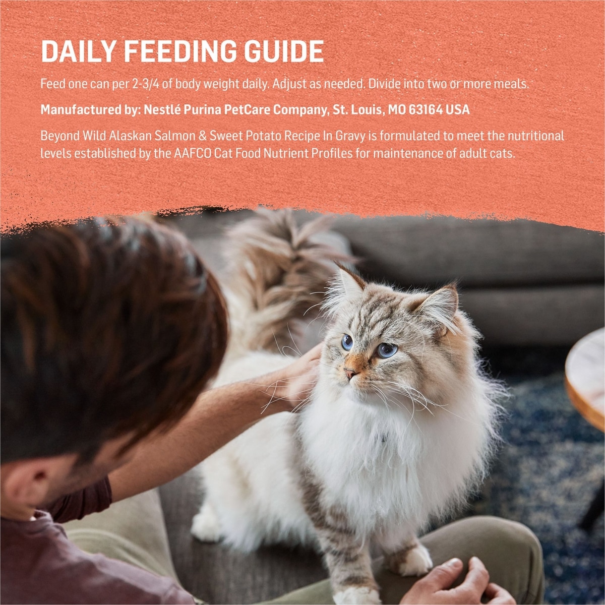 Discontinued - PURINA BEYOND Wild Alaskan Salmon & Sweet Potato Recipe ...