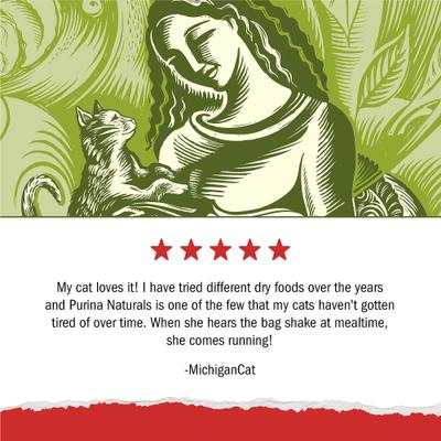 Show full view: Purina Cat Chow Naturals Original with Added Vitamins, Minerals & Nutrients Dry Cat Food, 13-lb bag slide 7 of 11