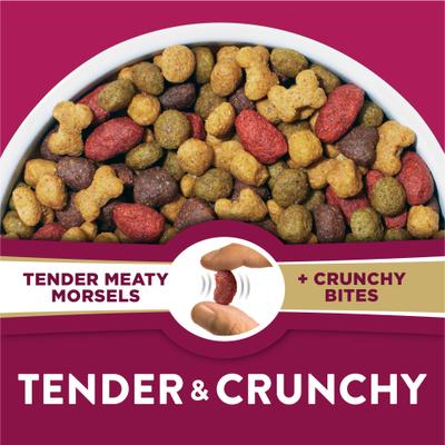 Show full view: Purina Dog Chow Tender & Crunchy Adult Real Lamb & Turkey Flavor Dry Dog Food, 16-lb bag slide 4 of 14
