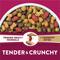 Show in main carousel: Purina Dog Chow Tender & Crunchy Adult Real Lamb & Turkey Flavor Dry Dog Food, 30-lb bag slide 4 of 14