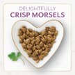 Show in main carousel: Purina Fancy Feast with Savory Chicken & Turkey Dry Cat Food, 12-lb bag slide 4 of 13