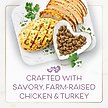 Show in main carousel: Purina Fancy Feast with Savory Chicken & Turkey Dry Cat Food, 12-lb bag slide 6 of 13