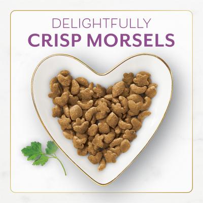 Show full view: Purina Fancy Feast with Savory Chicken & Turkey Dry Cat Food, 16-oz bag, pack of 4 slide 4 of 13