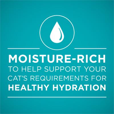 Show full view: Purina ONE Chicken Recipe Pate Natural Grain-Free Canned Cat Food, 3-oz, case of 24 slide 4 of 13