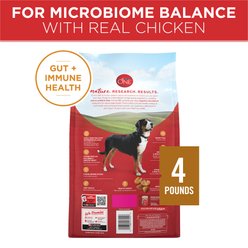 Purina ONE Chicken & Rice Formula Dry Dog Food, 4-lb bag slide 2 of 8