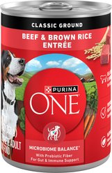 Purina ONE Classic Ground Beef & Brown Rice Entree Adult Wet Dog Food, 13-oz can, case of 12