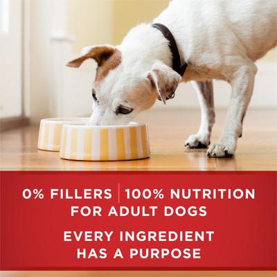 Show full view: Purina ONE Classic Ground Chicken & Brown Rice Entree Adult Wet Dog Food, 13-oz, case of 12 slide 10 of 12