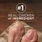 Show in main carousel: Purina ONE Classic Ground Chicken & Brown Rice Entree Adult Wet Dog Food, 13-oz, case of 12 slide 7 of 12