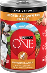 Purina ONE Classic Ground Chicken & Brown Rice Entree Adult Wet Dog Food, 13-oz, case of 12