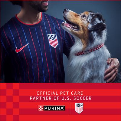 Show full view: Purina ONE Classic Ground Chicken & Brown Rice Entree Adult Wet Dog Food, 13-oz, case of 12 slide 5 of 12