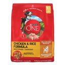 Purina ONE Digestive & Gut Health Support Chicken & Rice Formula Dry Dog Food, 31.1-lb bag