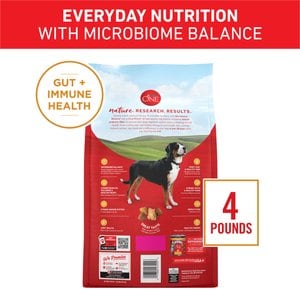 Purina ONE Digestive & Gut Health Support Chicken & Rice Formula Dry Dog Food, 4-lb bag