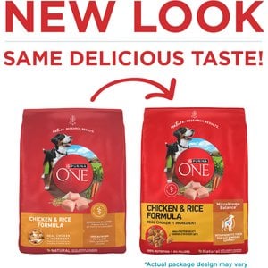 Purina ONE Digestive & Gut Health Support Chicken & Rice Formula Dry Dog Food, 4-lb bag