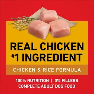 Purina ONE Digestive & Gut Health Support Chicken & Rice Formula Dry Dog Food, 4-lb bag