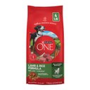 Purina ONE Digestive & Gut Health Support Lamb & Rice Formula Dry Dog Food, 4-lb bag