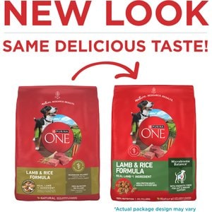 Purina ONE Digestive & Gut Health Support Lamb & Rice Formula Dry Dog Food, 4-lb bag