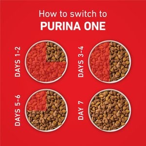Purina ONE Digestive & Gut Health Support Lamb & Rice Formula Dry Dog Food, 4-lb bag