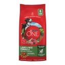 Purina ONE Digestive & Gut Health Support Lamb & Rice Formula Dry Dog Food, 8-lb bag