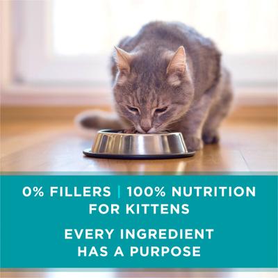 Show full view: Purina ONE Grain-Free Natural Pate Healthy Kitten Chicken & Salmon Recipe Wet Kitten Food, 3-oz can, case of 24 slide 8 of 15