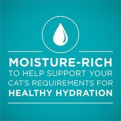 Purina ONE Grain-Free Natural Pate Healthy Kitten Chicken & Salmon Recipe Wet Kitten Food, 3-oz can, case of 4 slide 2 of 9