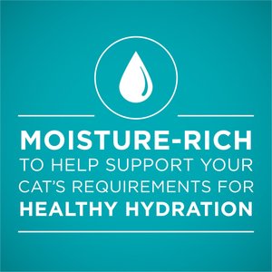 Purina ONE Grain-Free Natural Pate Healthy Kitten Chicken & Salmon Recipe Wet Kitten Food, 3-oz can, case of 4