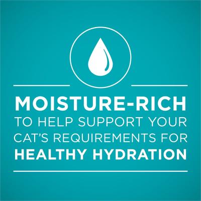 Show full view: Purina ONE Grain-Free Natural Pate Healthy Kitten Chicken & Salmon Recipe Wet Kitten Food, 3-oz can, case of 4 slide 4 of 15