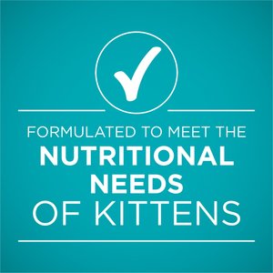 Purina ONE Grain-Free Natural Pate Healthy Kitten Chicken & Salmon Recipe Wet Kitten Food, 3-oz can, case of 4