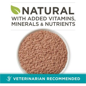 Purina ONE Grain-Free Natural Pate Healthy Kitten Chicken & Salmon Recipe Wet Kitten Food, 3-oz can, case of 4