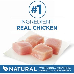 Purina ONE Indoor Advantage 7+ Chicken & Ocean Fish Recipe Pate Wet Cat Food, 3-oz can, case of 24
