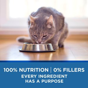 Purina ONE Indoor Advantage 7+ Chicken & Ocean Fish Recipe Pate Wet Cat Food, 3-oz can, case of 24