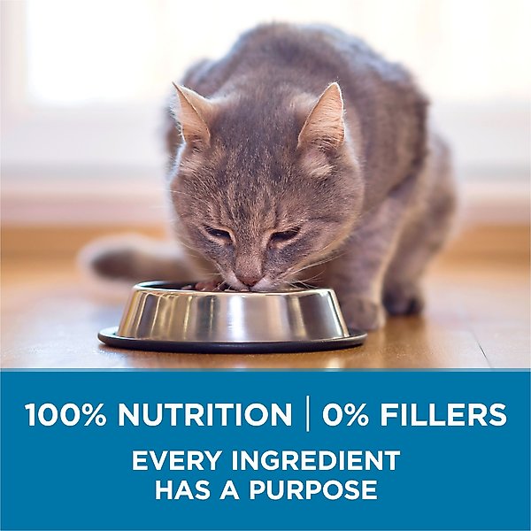 Purina ONE Indoor Advantage Senior 7+ High Protein Natural Dry Cat Food