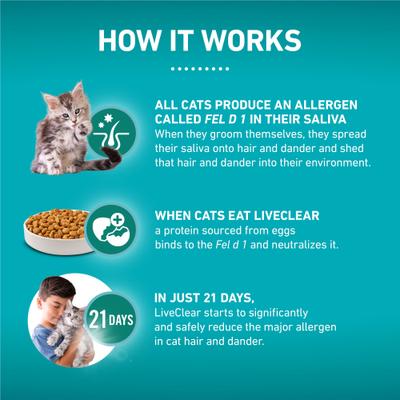 Show full view: Purina ONE LiveClear Allergen-Reducing Formula Chicken Flavor Natural Kitten Dry Cat Food, 2.8-lb bag slide 6 of 12
